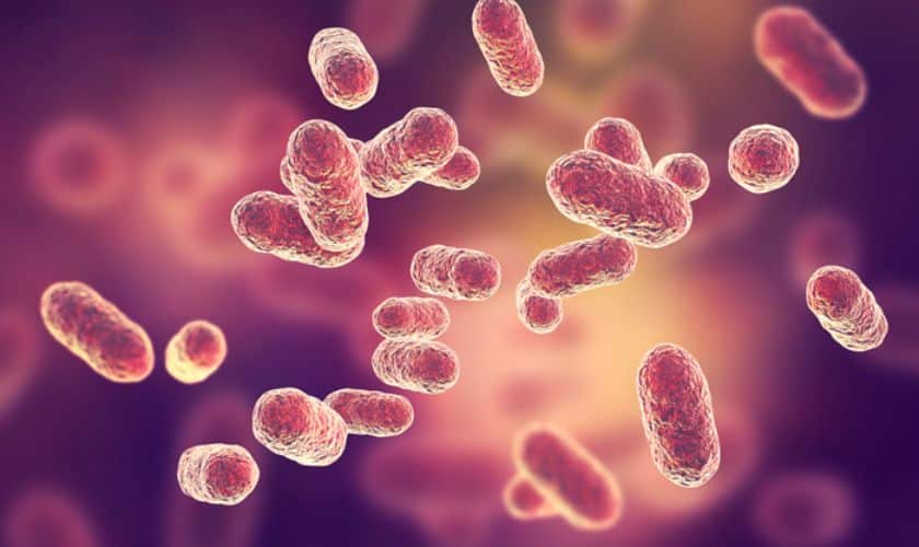 Periodontal-Microtherapy